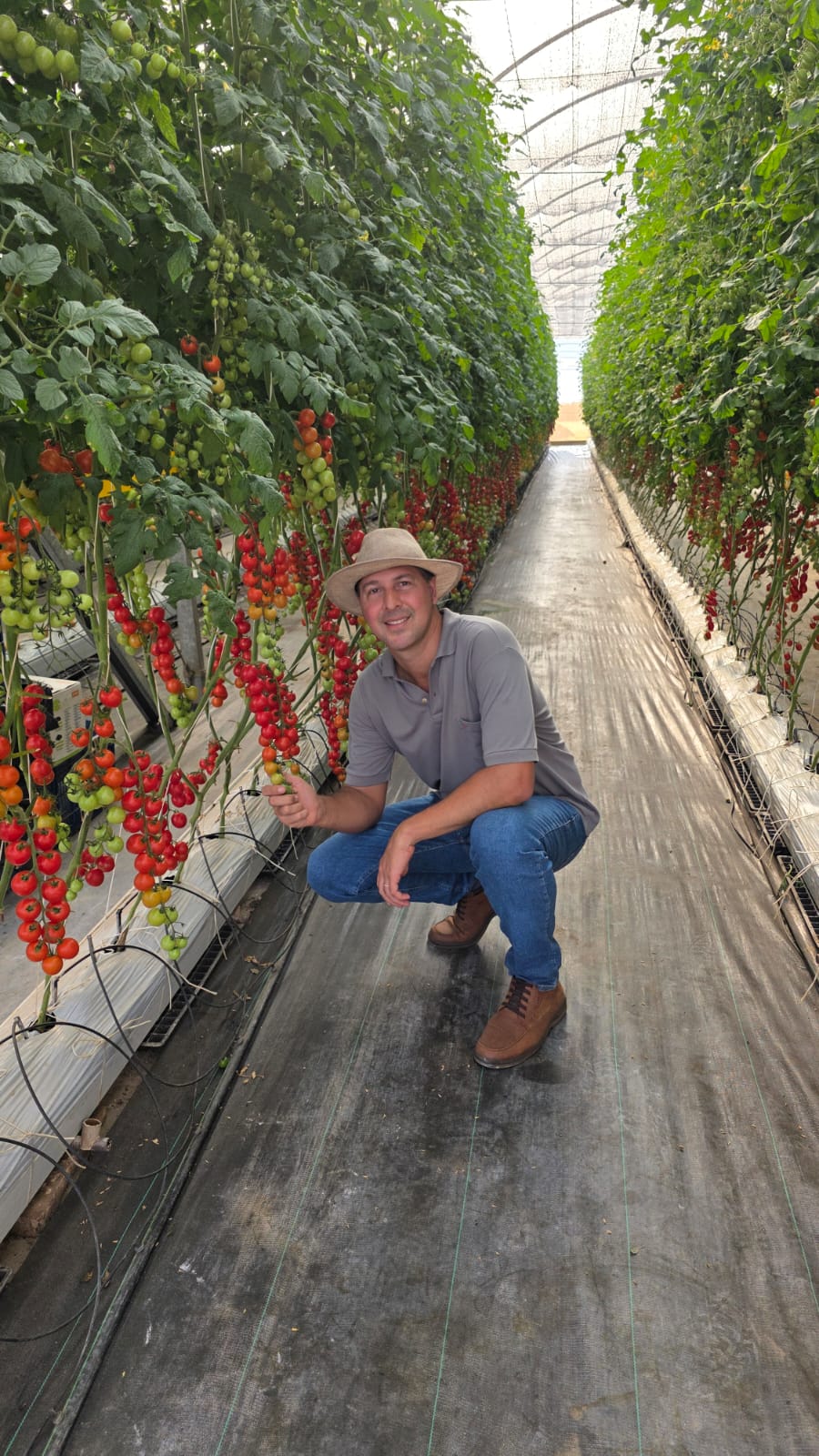 Rodrigo Sábia — Especialista em Tomaticultura