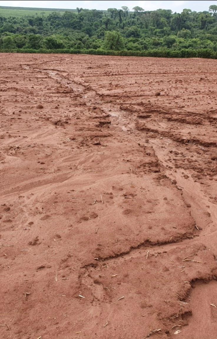 Sulcos de erosão hídrica em solo exposto após chuva, em área de preparo convencional